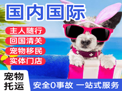阿克苏红旗坡机场托运国际宠物托运 【国